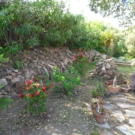 Villa Classée 5* 7 Piscine à 5' Sainte-Lucie de Porto-Vecchio