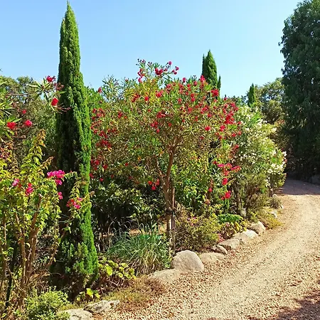 Villa Classée 5* 7 Piscine à 5' Sainte-Lucie de Porto-Vecchio