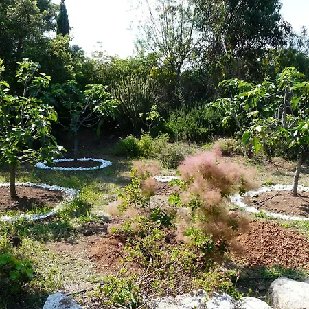 Classee 5* 7 Piscine A 5' *