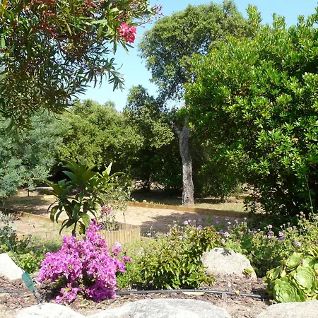 Classee 5* 7 Piscine A 5' *