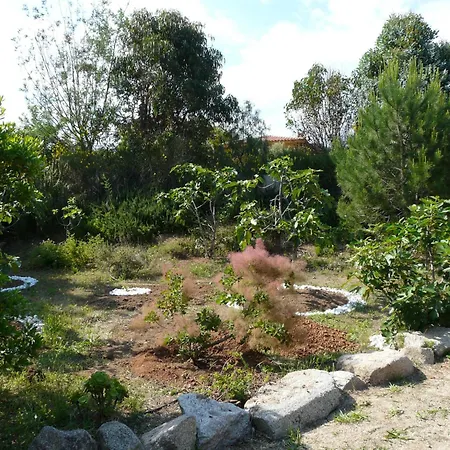 Classee 5* 7 Piscine A 5' *