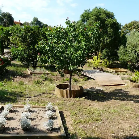 Classee 5* 7 Piscine A 5'