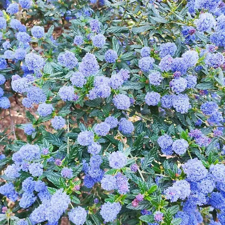 Villa Classee 5* 7 Piscine A 5'