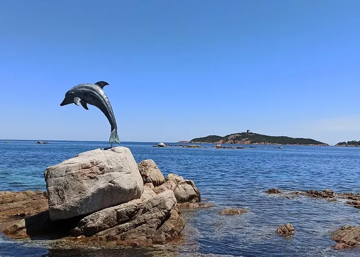 Classée 5* 7 Piscine à 5' Villa *