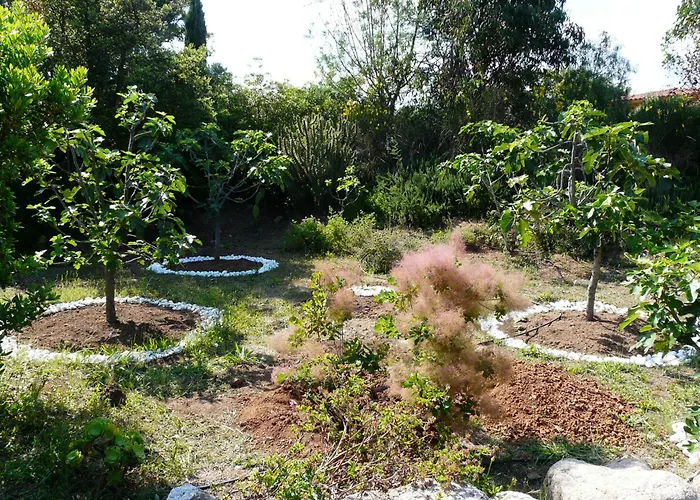 Classée 5* 7 Piscine à 5' *