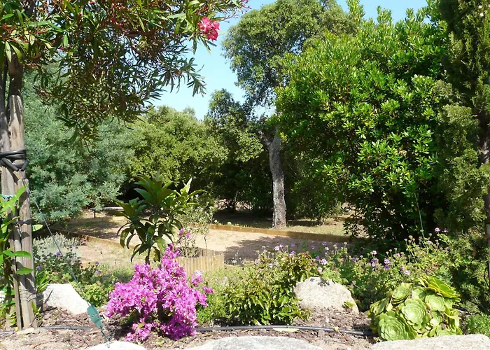 Classée 5* 7 Piscine à 5' *