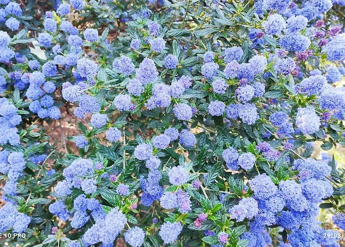 Villa Classée 5* 7 Piscine à 5'